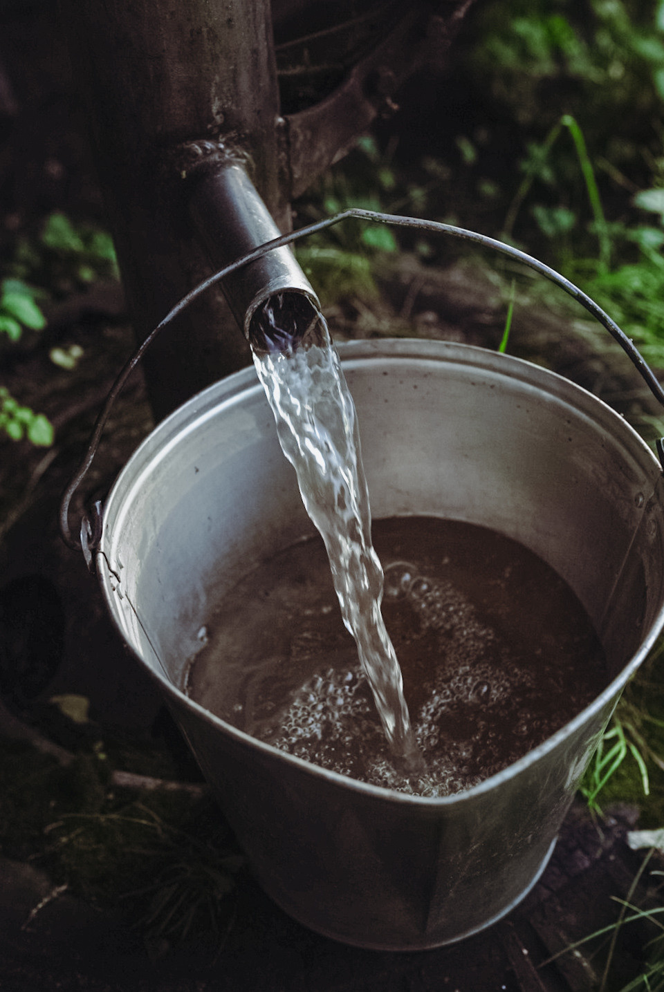 Юные хозяюшки. Фотограф и видеограф г. Нягань Анна Горшкова