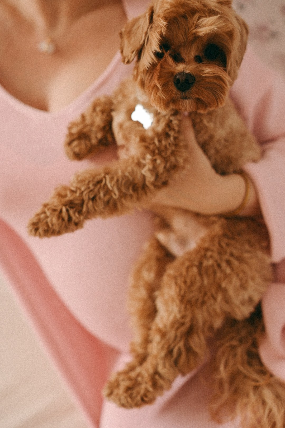 Family. Фотограф Нижний Новгород