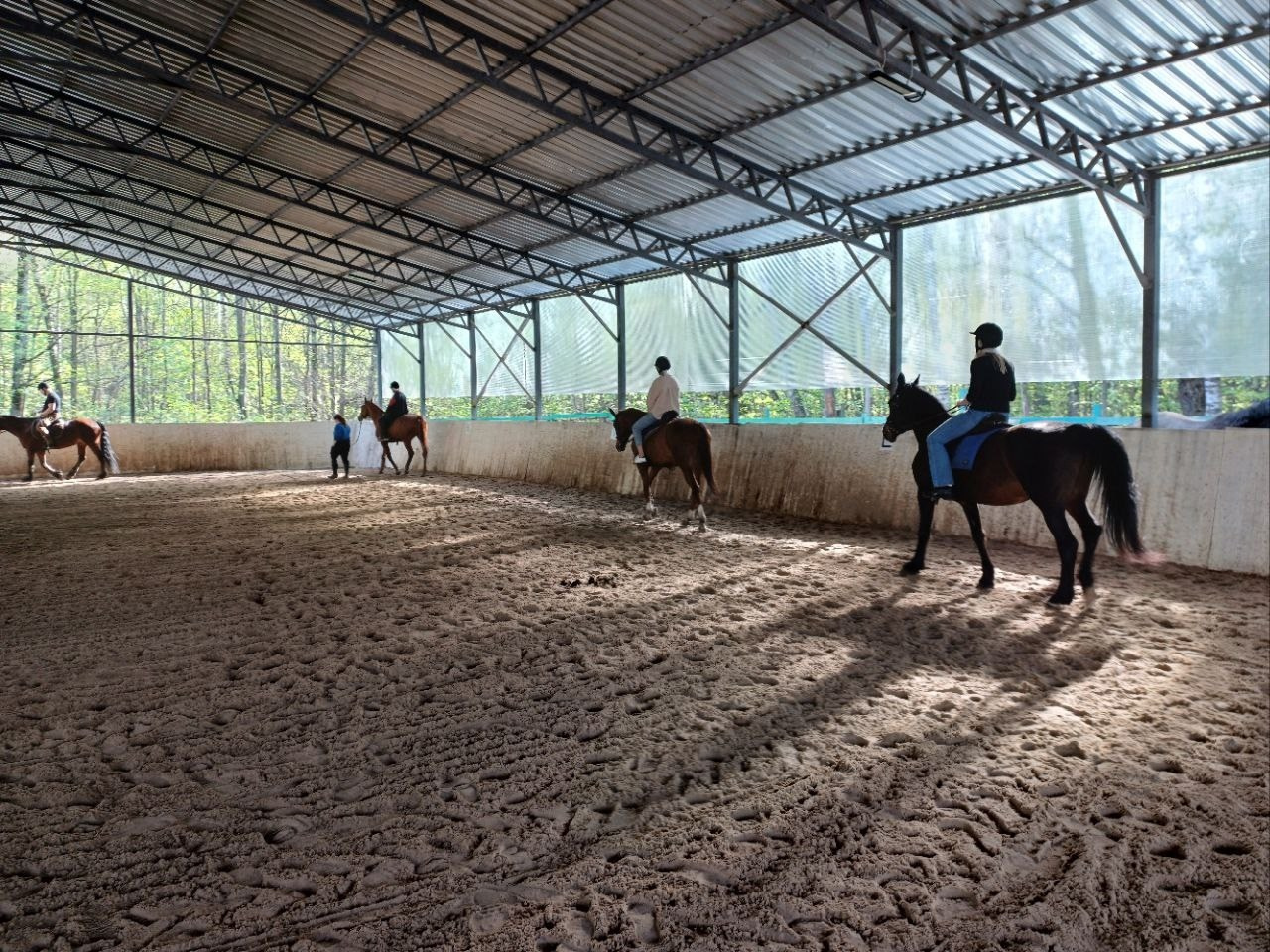 Лошадинг | 30.03.2024. Галерея Фантим