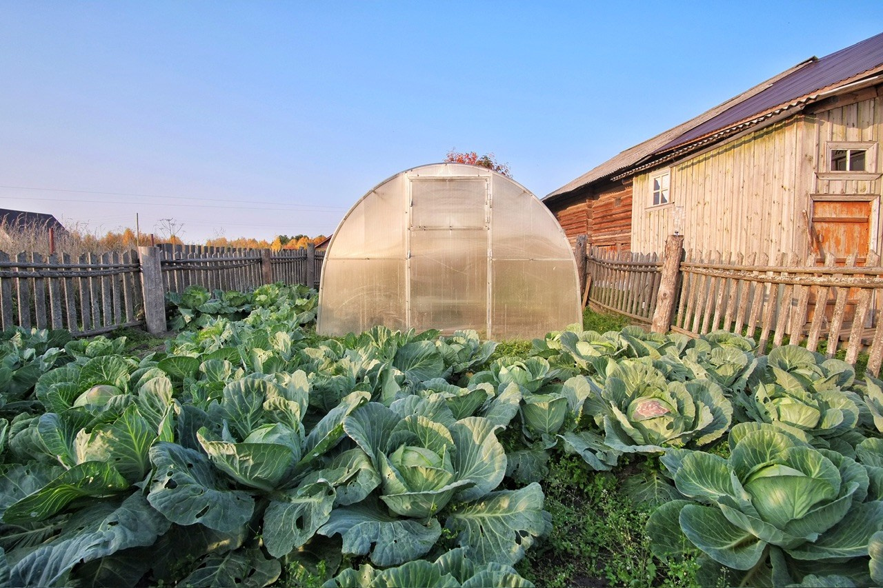 Архангельская область. Фотограф Евгений Андреев