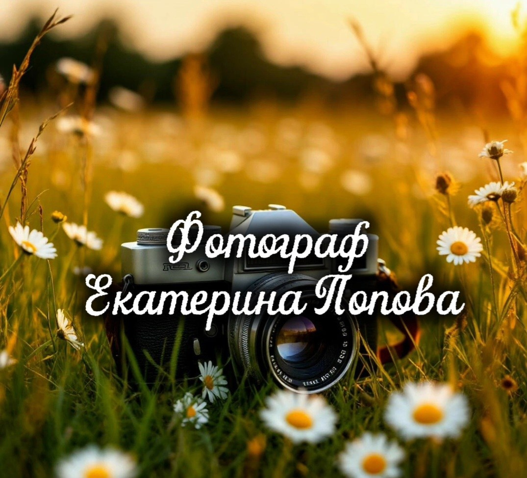 Фотограф Екатерина Попова |Семья и питомцы|НН и Дзержинск
