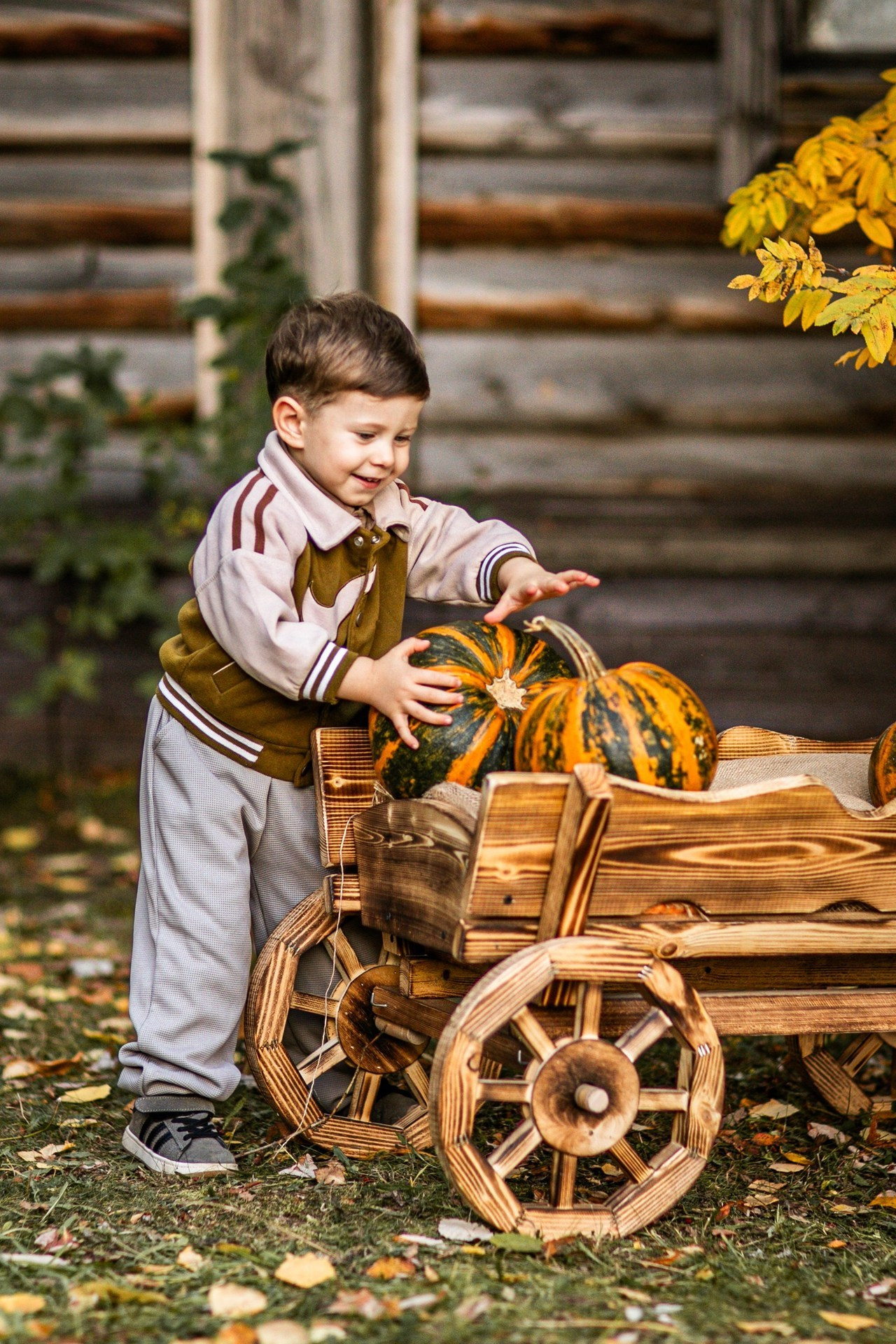 Осенние. Фотограф Елена Вишневская (Ушакова) Нефтеюганск, Сургут, Тюмень