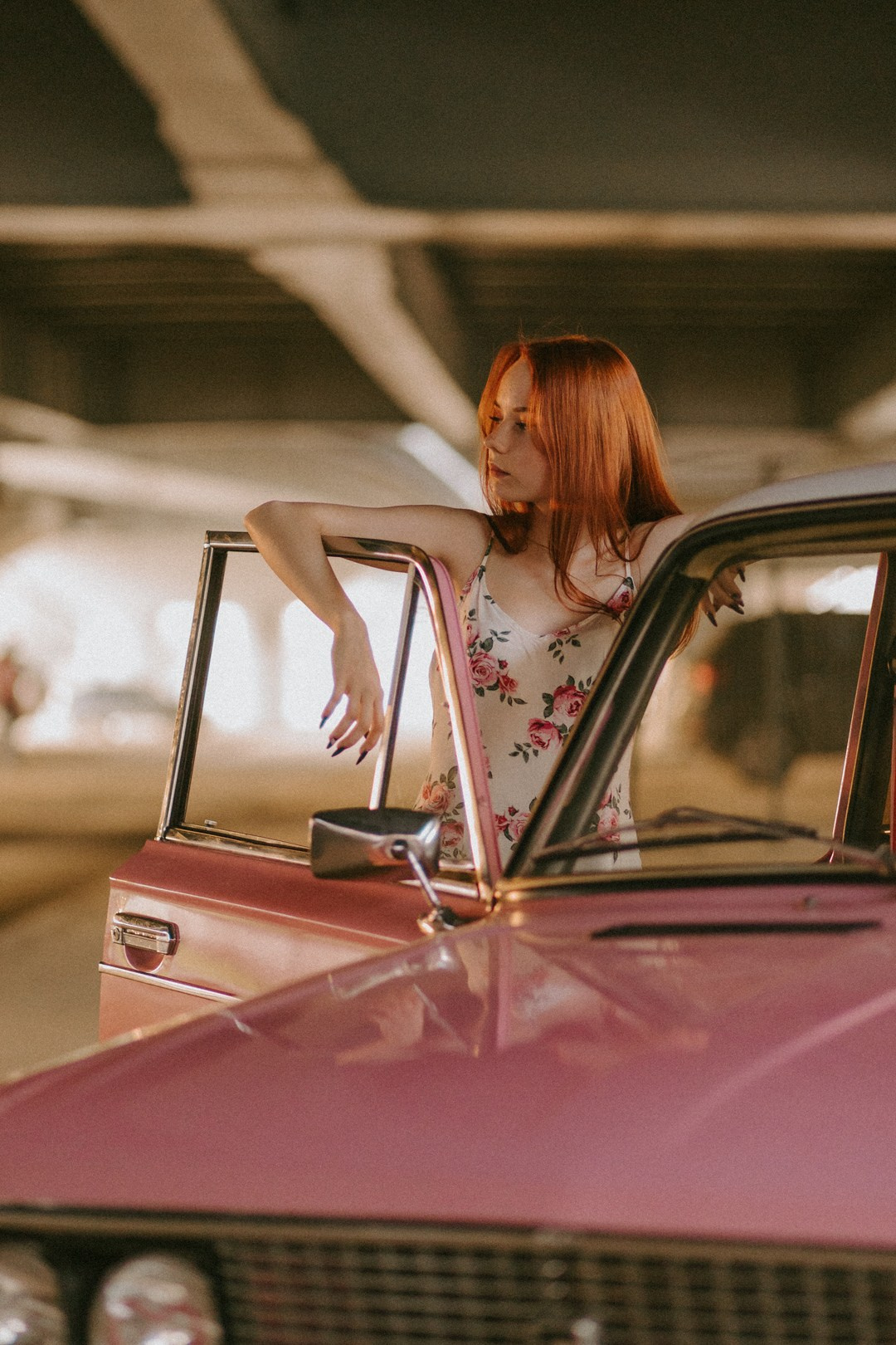 Розовый закат. Павел Померанцев