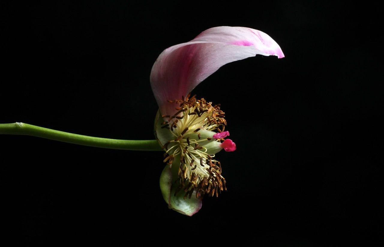 Предметы. Фотограф в Москве Юлия Майорова