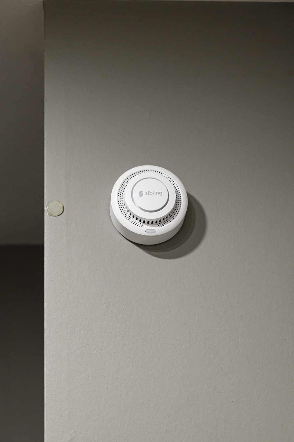 Предметная фотосъемка. Фотограф | Рустам Загидуллин | Санкт-Петербург