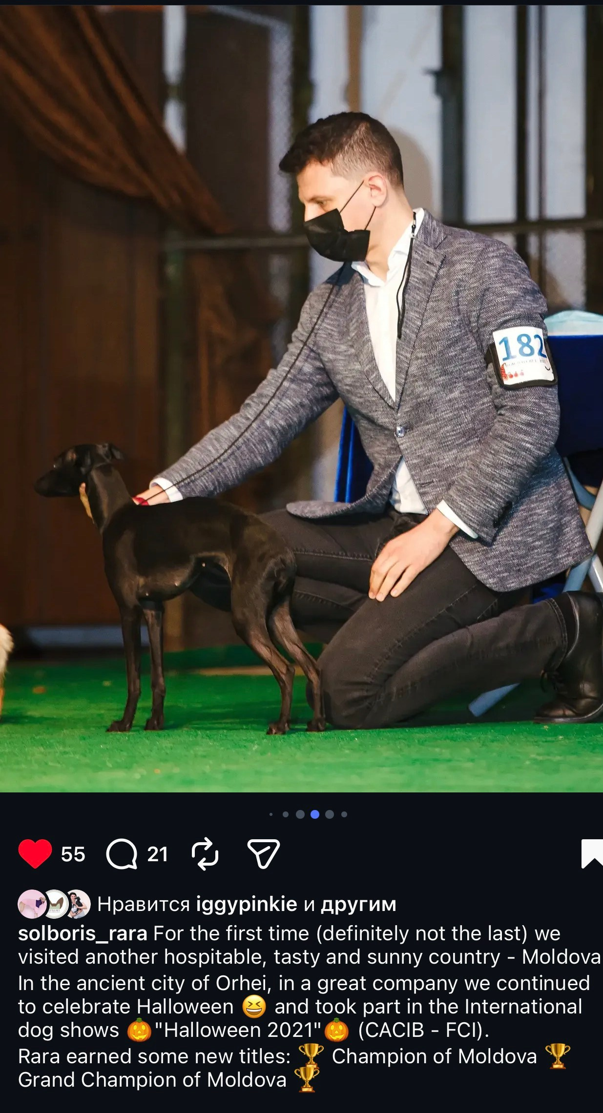 Черный бриллиант. Профессиональный питомник левреток РКФ/FCI ASTI SAPPHIRE 💎 Сочи|Санкт-Петербург