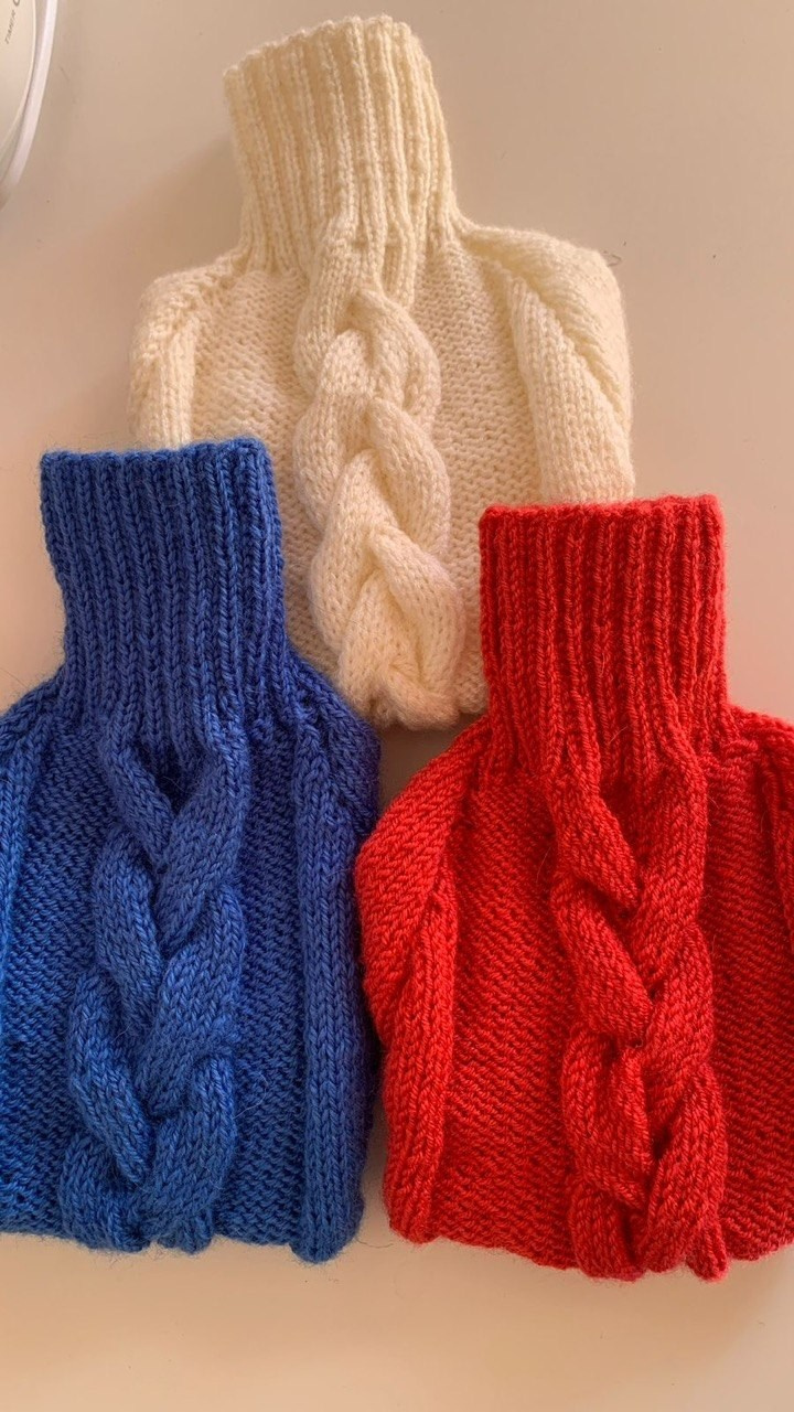 Одежда. Профессиональный питомник левреток РКФ/FCI ASTI SAPPHIRE 💎 Сочи|Санкт-Петербург