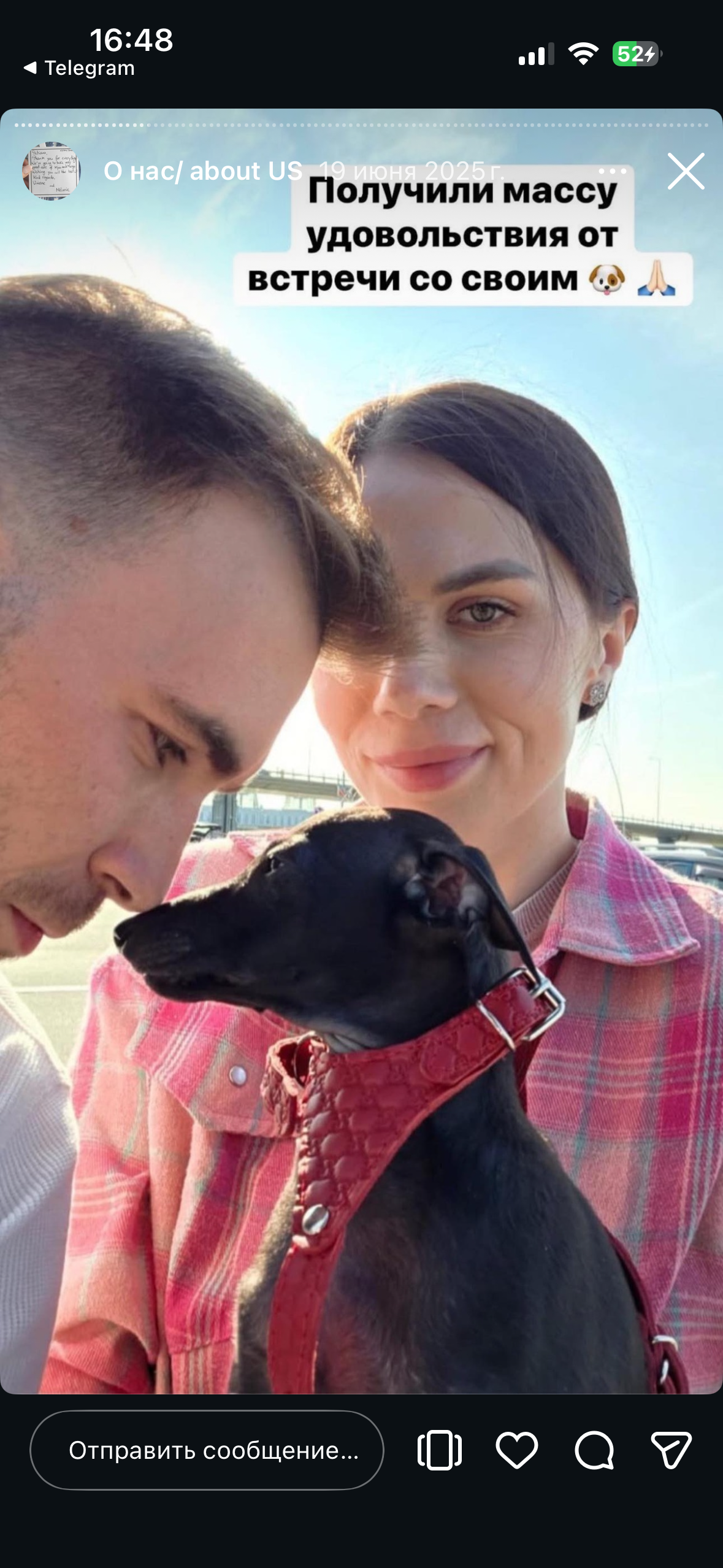 Отзывы от наших любимых владельцев. Профессиональный питомник левреток РКФ/FCI ASTI SAPPHIRE 💎 Сочи|Санкт-Петербург