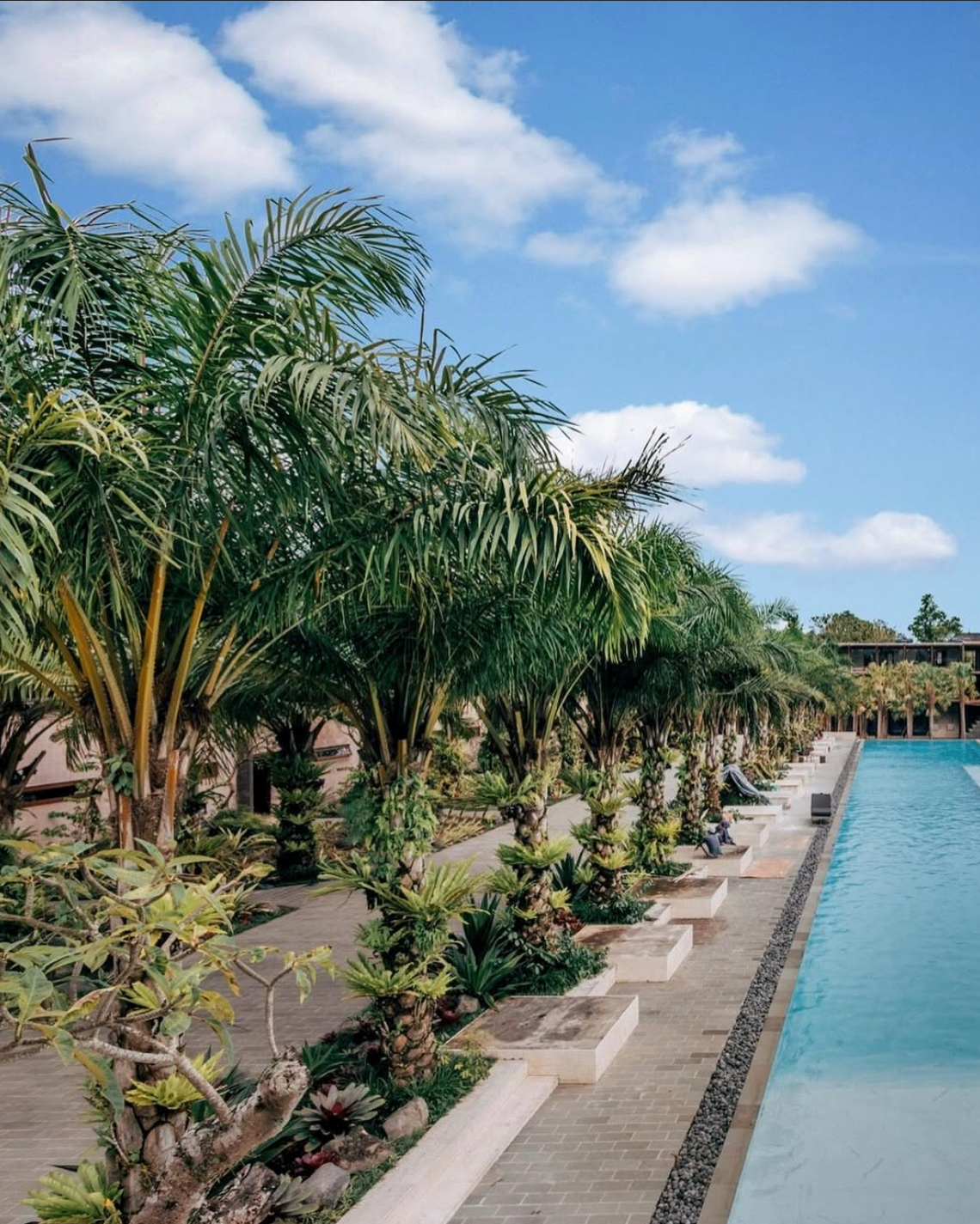 Parq. Vladimir Ulianov