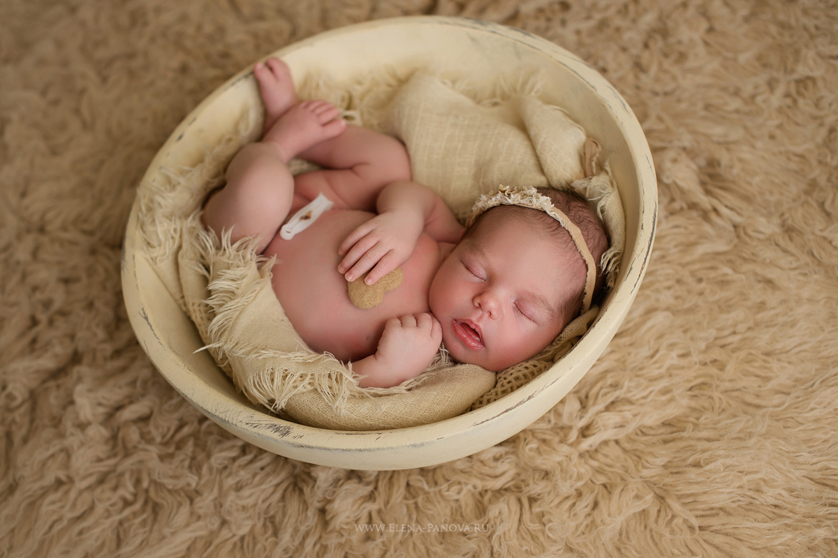 Новорожденные. Фотограф новорожденных Елена Панова