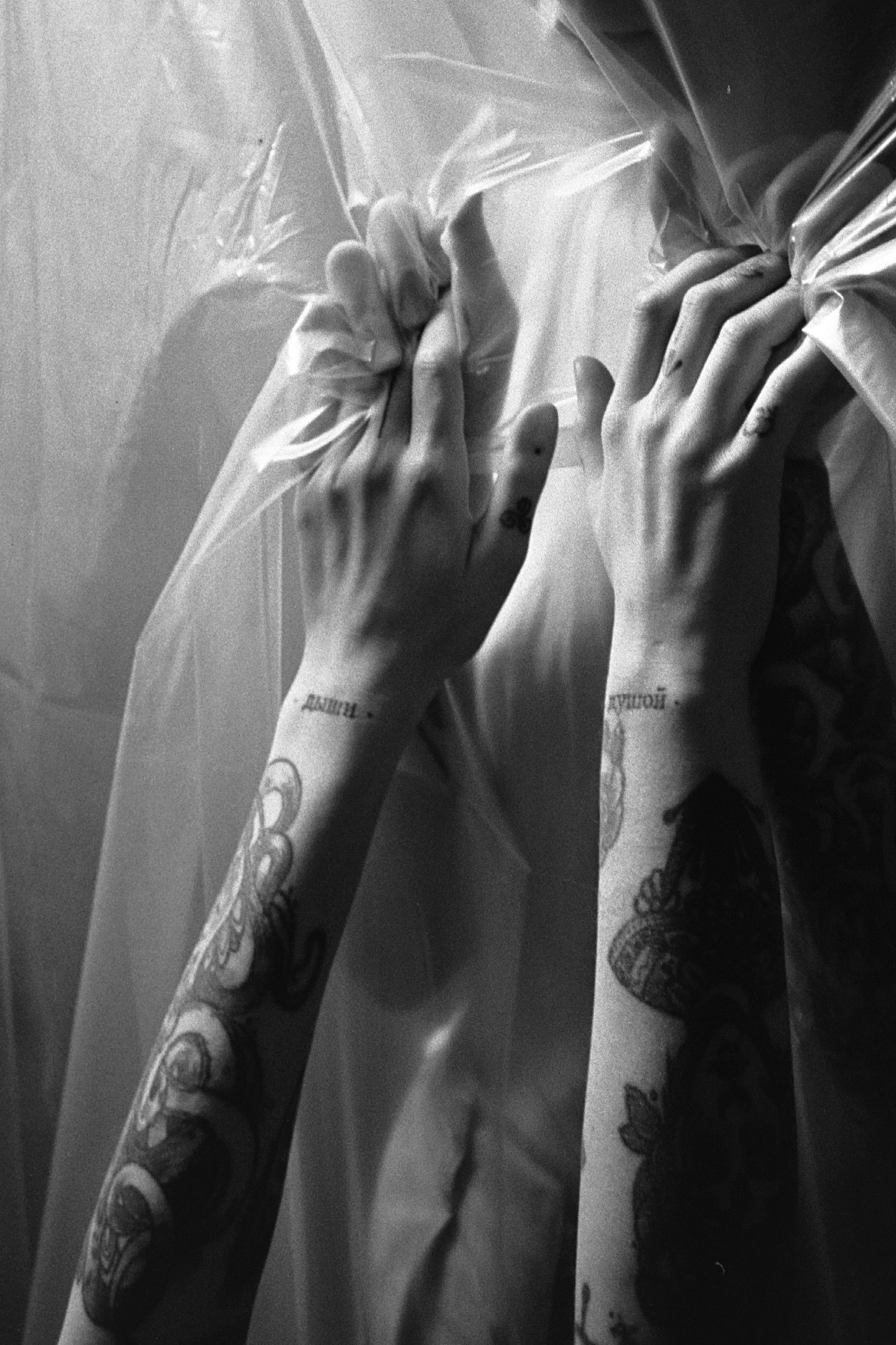 Студия. Фотограф Анастасия Чеботарева