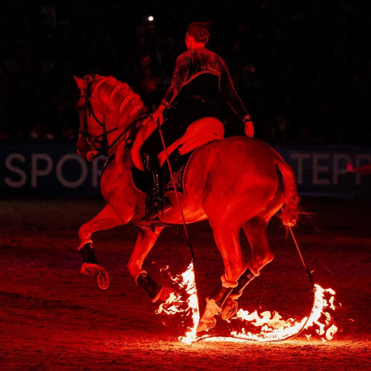 Иваново Поле — 2025. Куракина Дарья • Конный фотограф