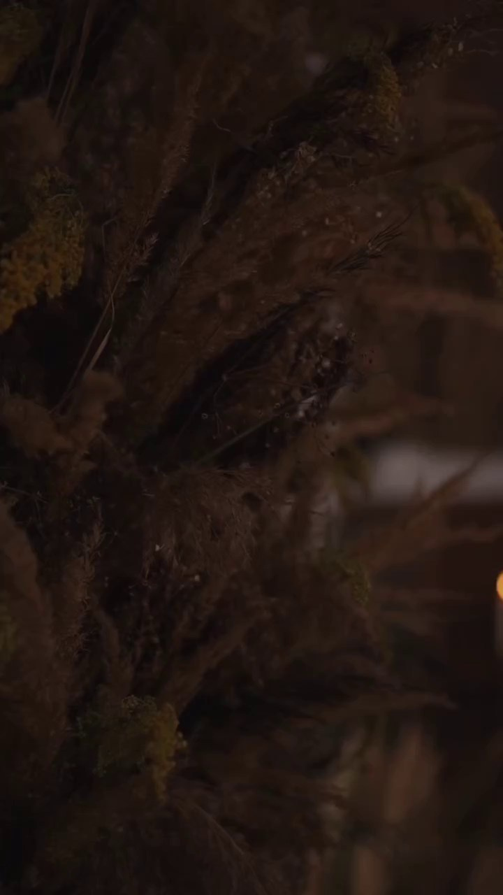 Все фотостудии в Твери. Свадебный и семейный фотограф в Твери и Тверской области