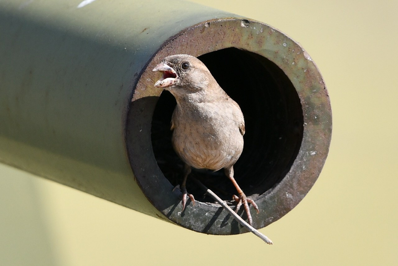 Природа. Фото детских спортивных мероприятий и всякое интересное через объектив
