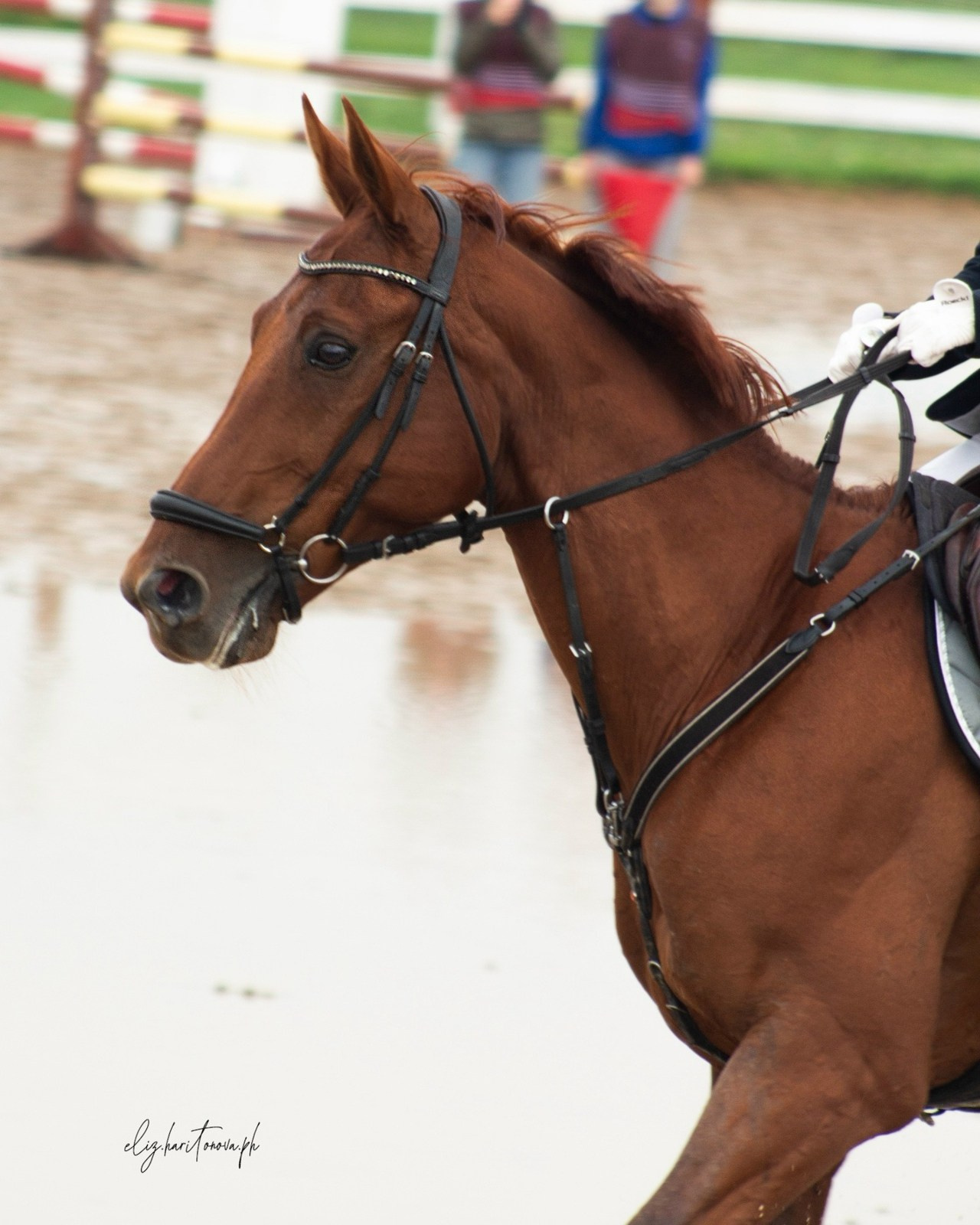 Соревнования. Фотограф в Иркутске, Харитонова Елизавета