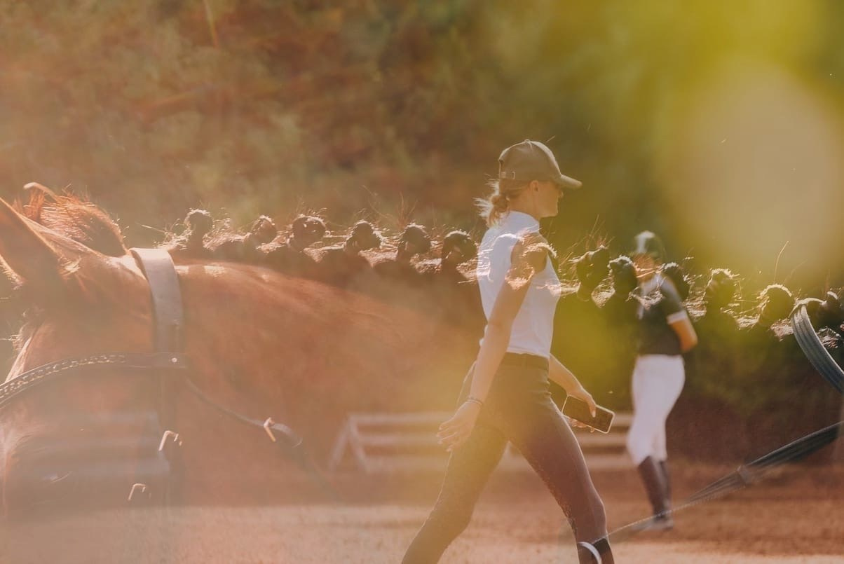 Летние соревнования. Фотосессии с лошадьми