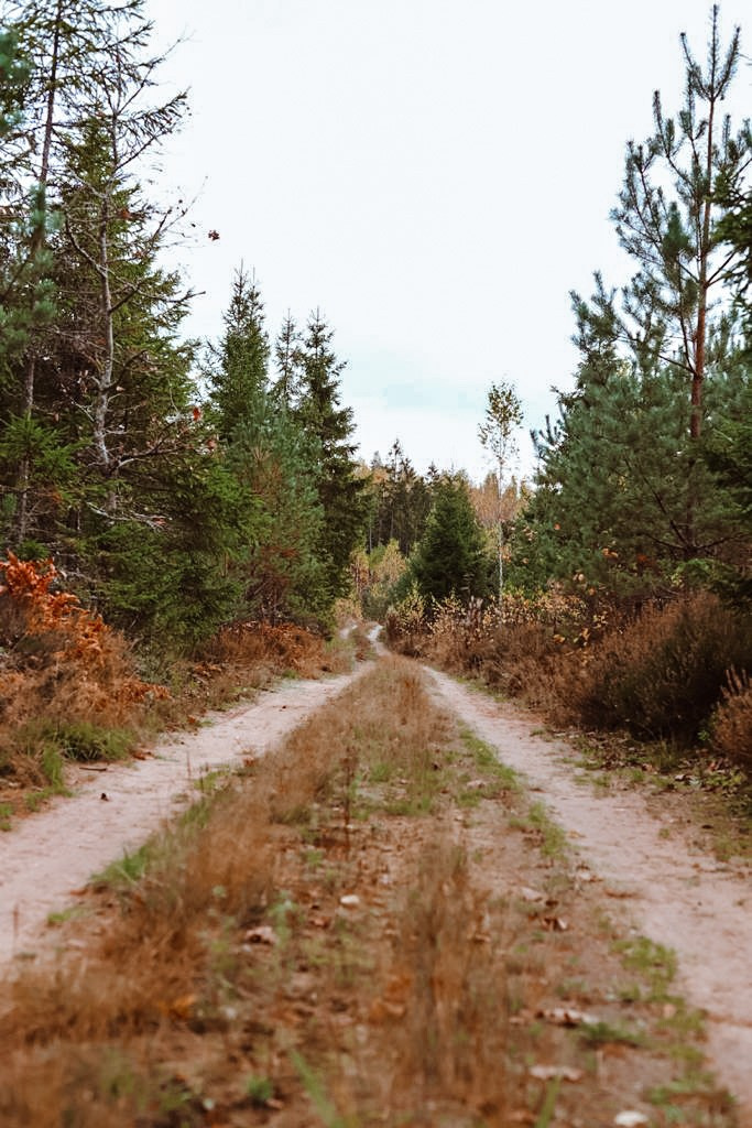 Пейзаж. Фотограф Олеся Шипихина г. Москва