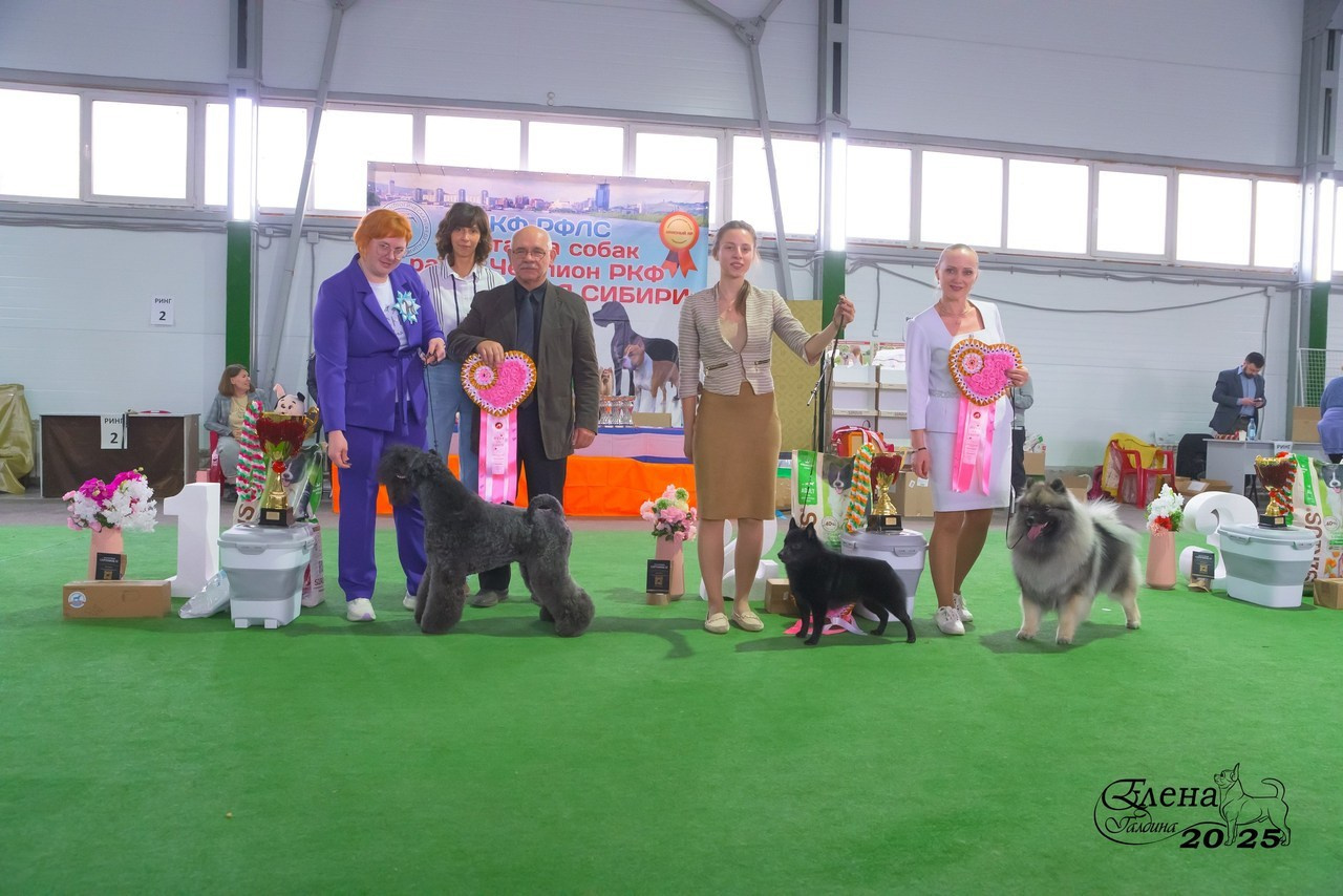 Отзывы. Фотограф анималист Елена Галдина г. Красноярск