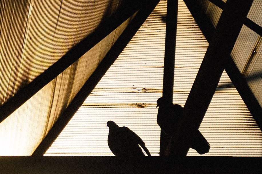 Фоточеллендж «30 дней — 30 фото». Олег Романов. Мастер фото по спорту