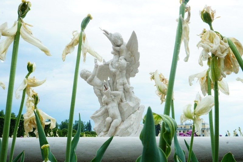 Симуляторы (Каталог № 4). Главная