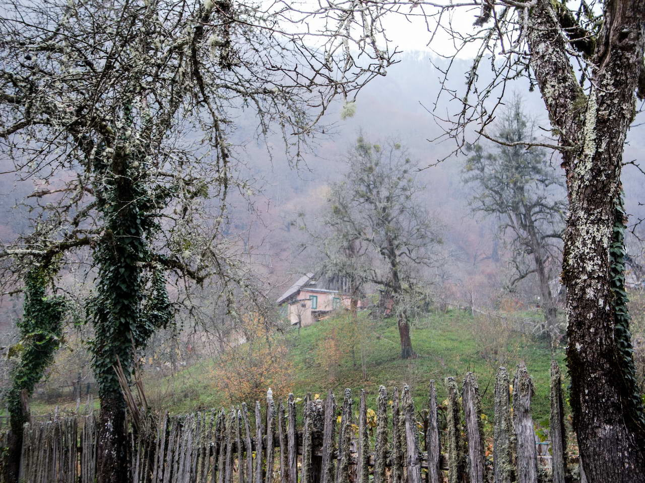 Разное. Фотограф в Сочи Владимир Ачинцев