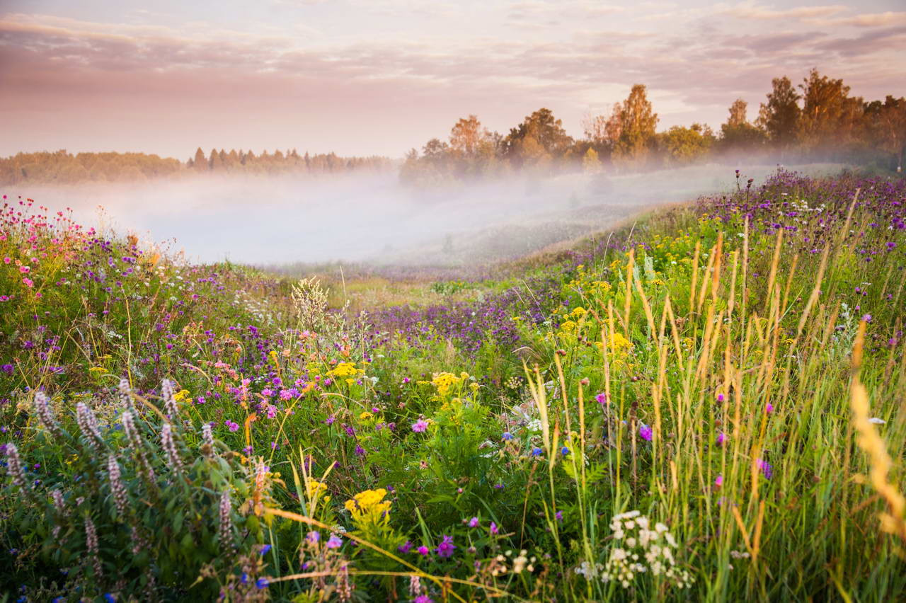 Разное. Фотограф в Сочи Владимир Ачинцев