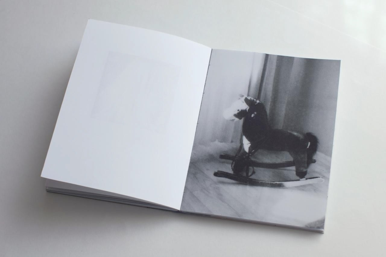 Фотокнига: Анна Плюснина «Дневник мамы». Самоорганизация Низина