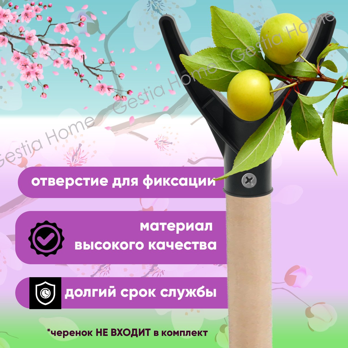 Инфографика для маркетплейсов. Семейный и детский фотограф Александра Кор. Москва