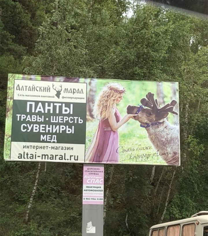 Мои успехи. Семейный фотограф, фотосессия беременности в Новосибирске Кристина Киб