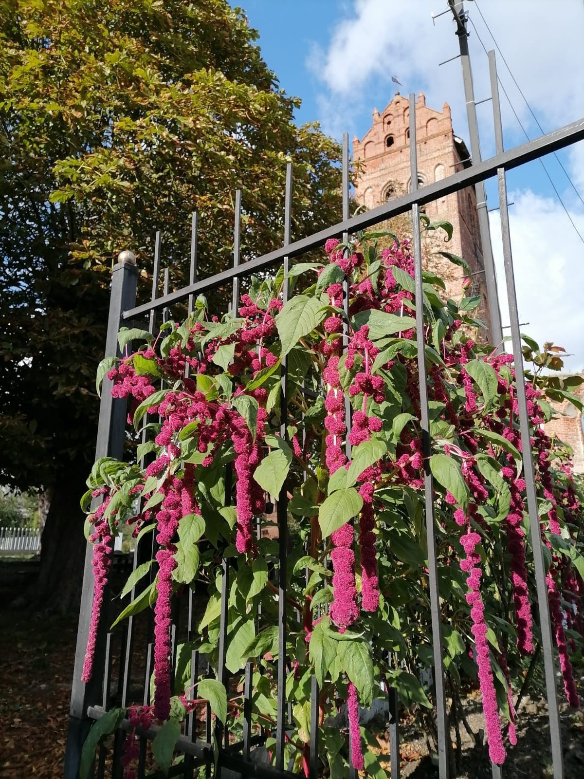 Калининград | 05-08.10.2023. Галерея Фантим