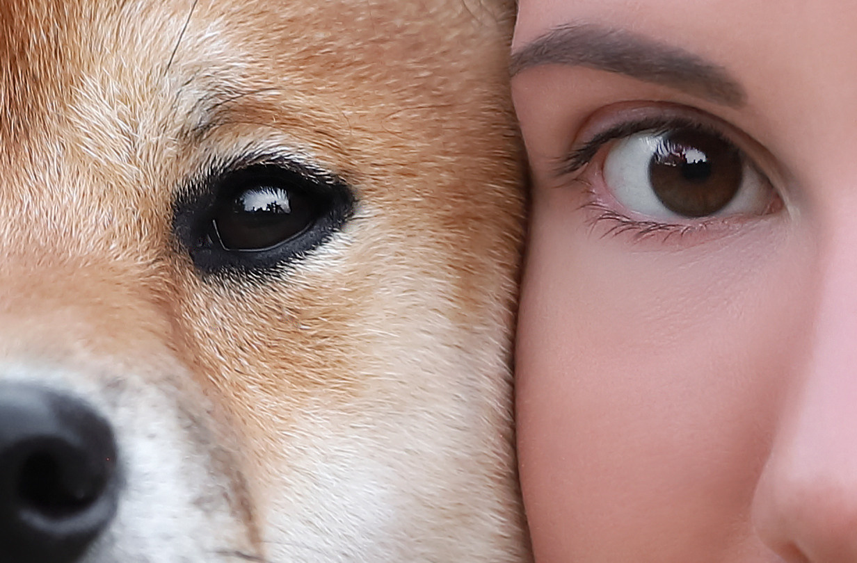 С глазу на глаз. Семейный фотограф-анималист Ирина Андреева