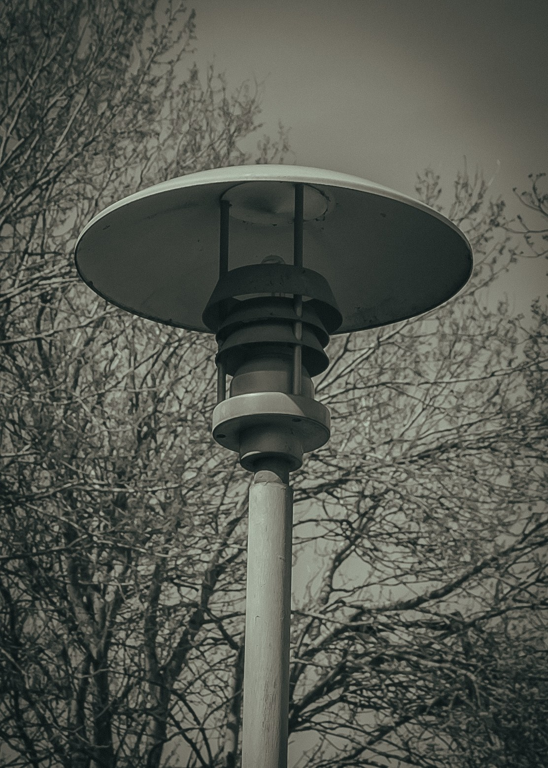 Выборг. Портретный фотограф DanilNabody