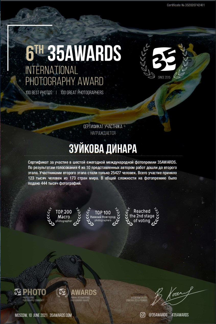 Дипломы. Мотофотограф в Нижнем Новгороде Динара Зуйкова