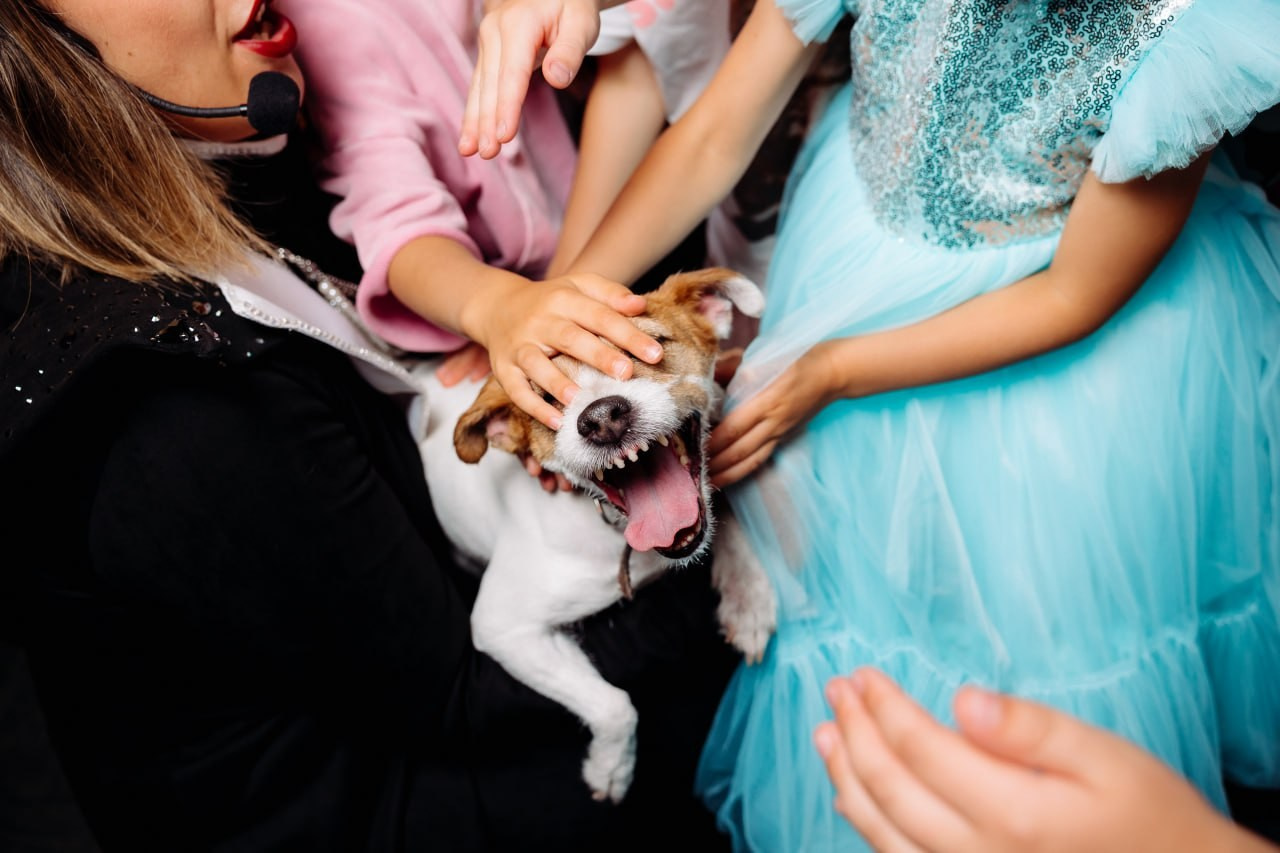 Дни Рождения. Фотограф в Санкт-Петербурге Кирюшенков Андрей