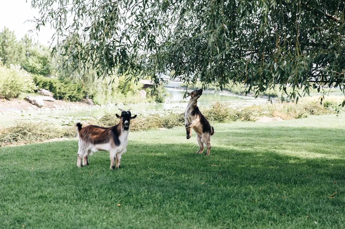 Максим+Оля=˚ ♡ ⋆. Главная