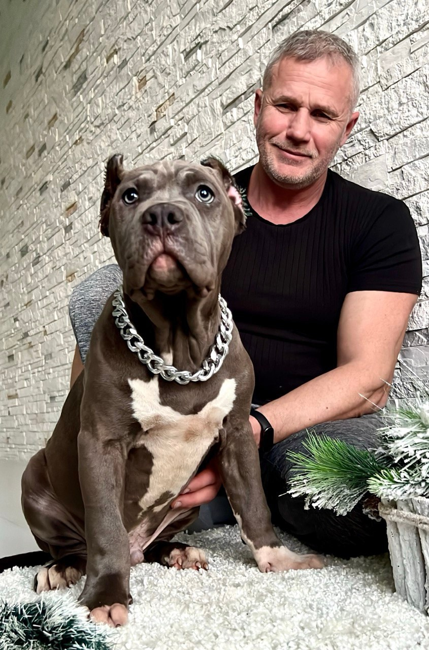 Все свободные щенки. Американские булли XL в г. Калининград. Питомник Great Bully UNIVERSE
