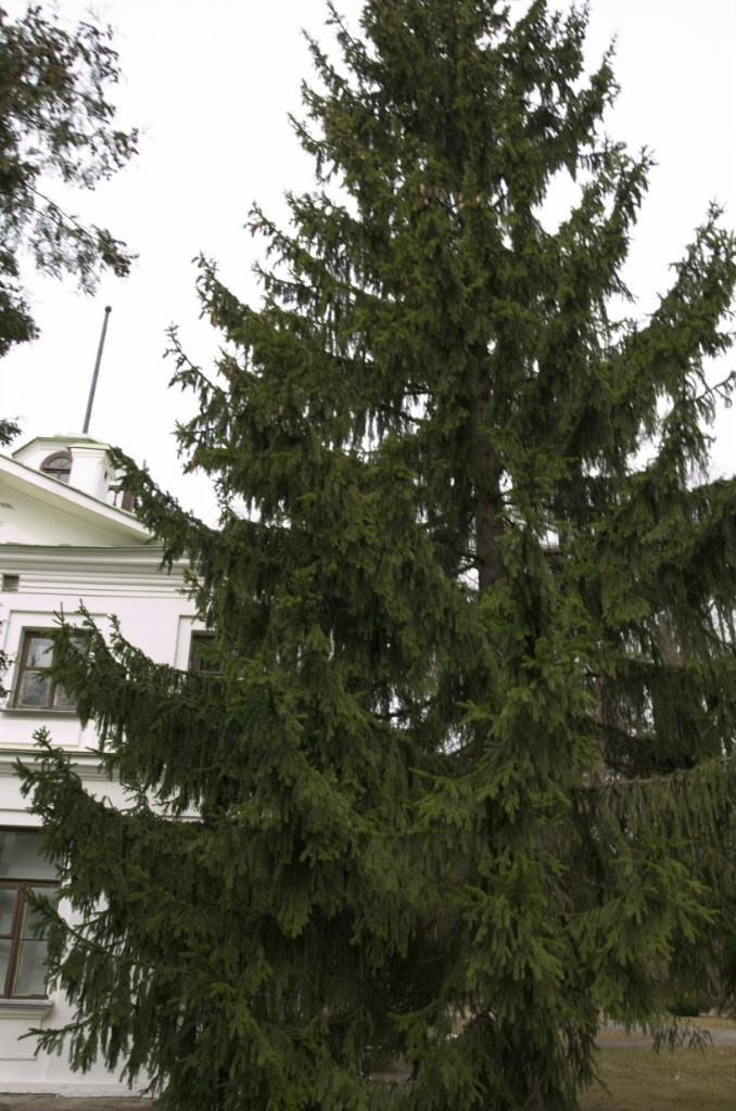 Середниково — Piligrim Porto — Братцево — Сходненская чаша | 09.04.2016. Галерея Фантим