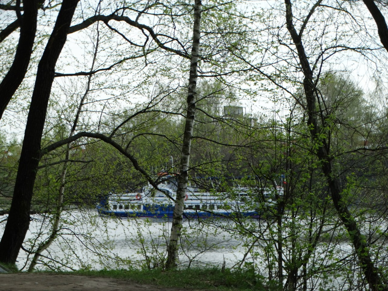 Шашлыки | 01.05.2016. Галерея Фантим