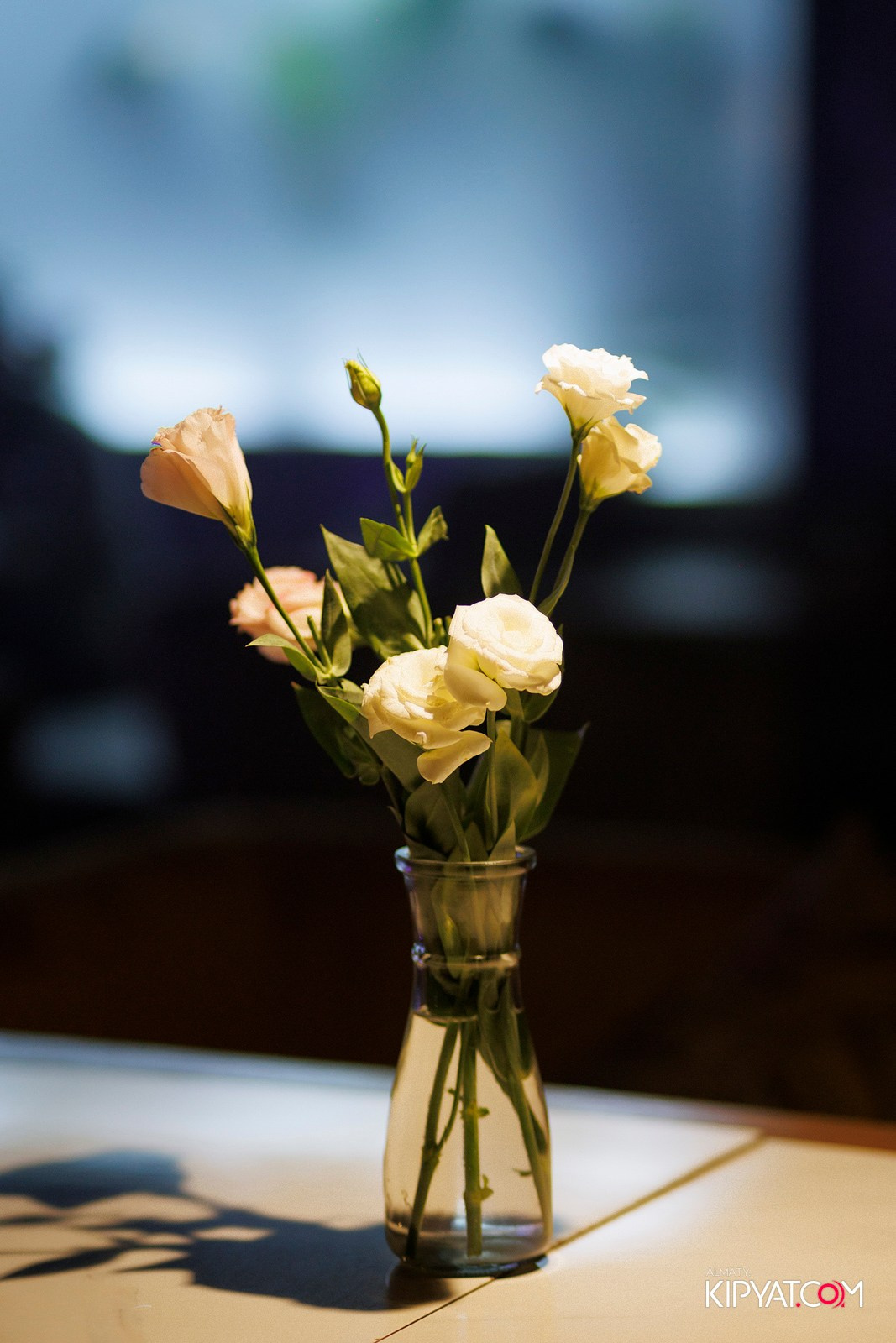 OLOVO BAR НА САТПАЕВА. КИПЯТКОМ АЛМАТЫ! Фотосъемка мероприятий в Алматы