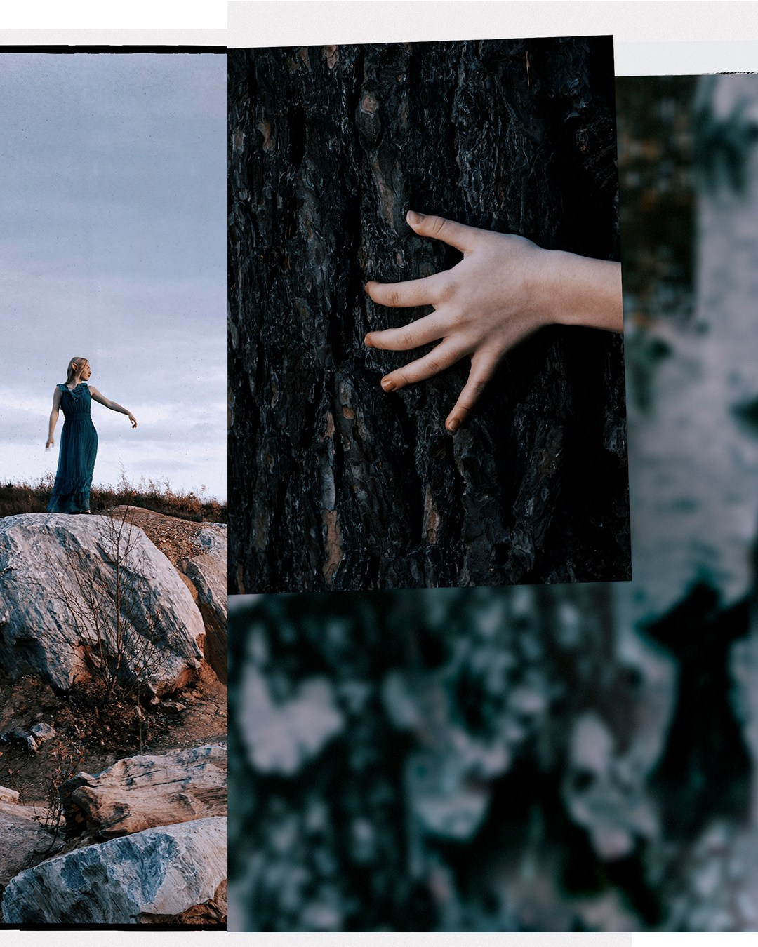 Сумерки Эльфа. 