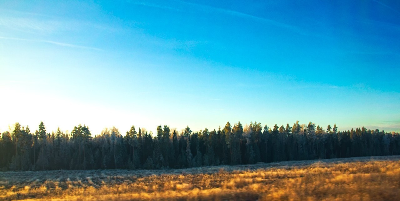 Нижний Новгород | 22-23.11.2014. Галерея Фантим