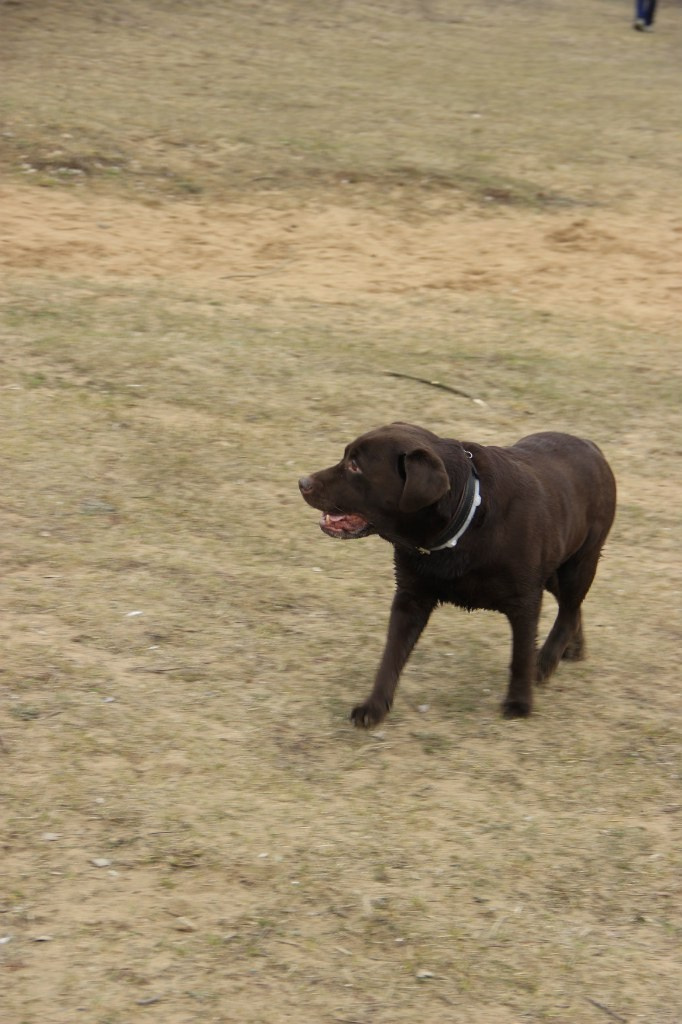 Шашлычинг | 09.04.2016. Галерея Фантим
