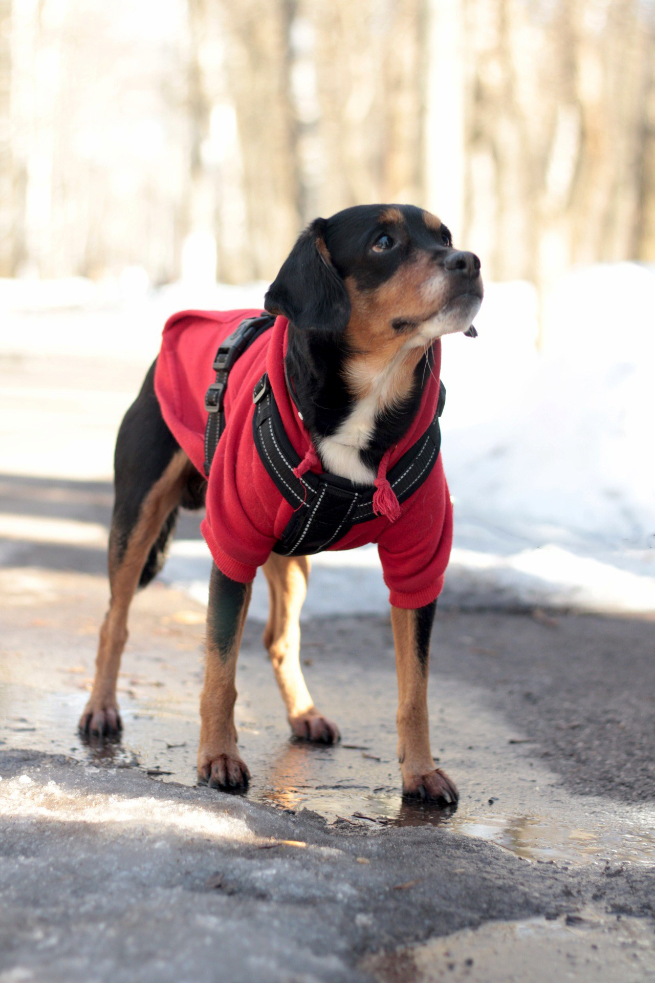 Маша и Кекс. Катя Попова|ЛайфСтайл фотограф