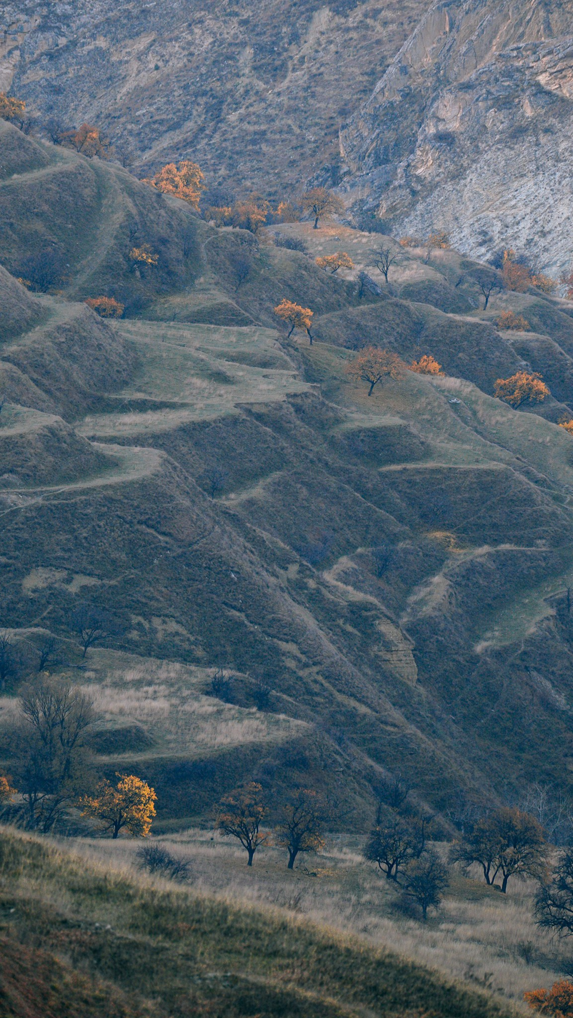 Дагестан 2023. Человек с фотокамерой