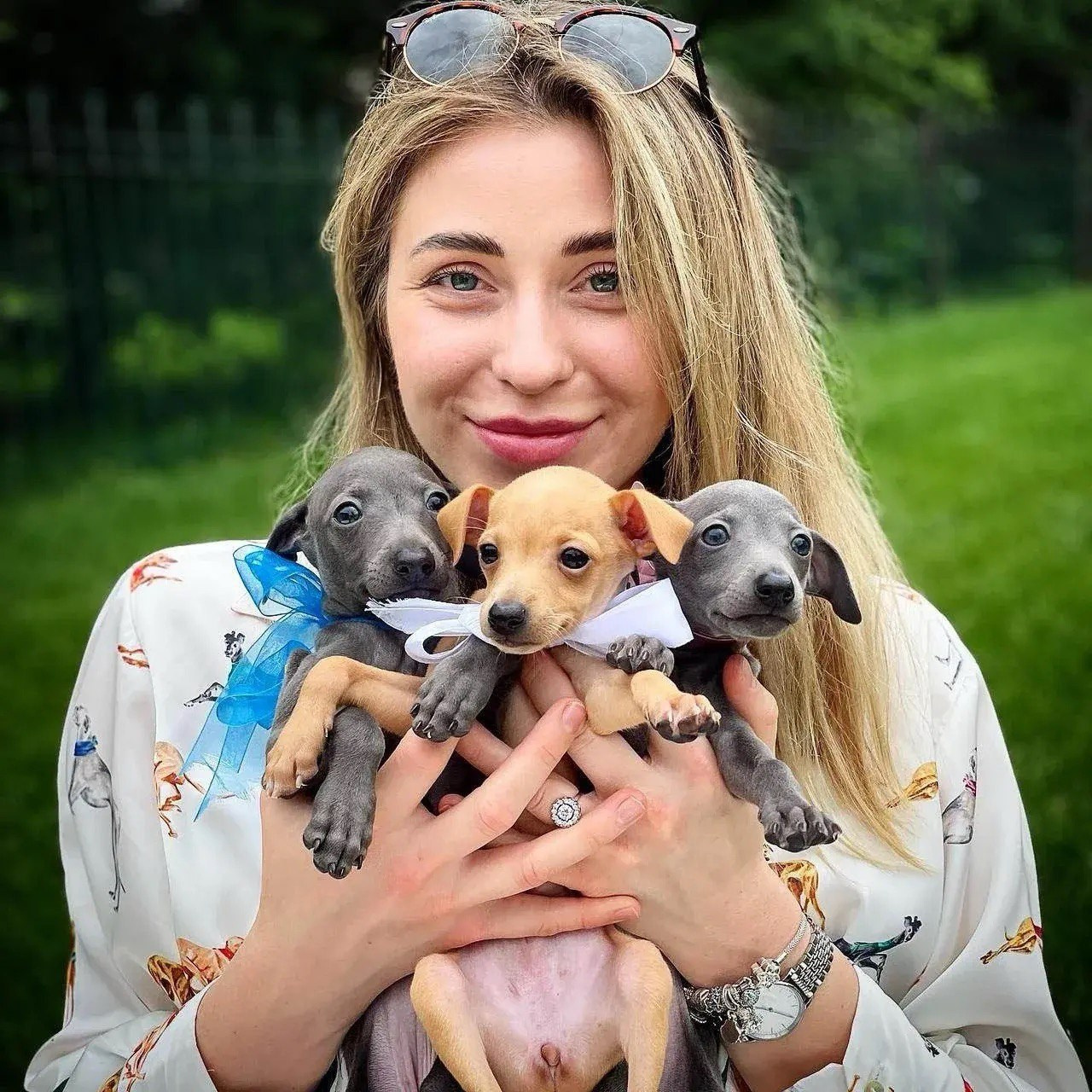 Asti Sapphire Eveline Fler-De-Lys. Профессиональный питомник левреток РКФ/FCI ASTI SAPPHIRE 💎 Сочи|Санкт-Петербург