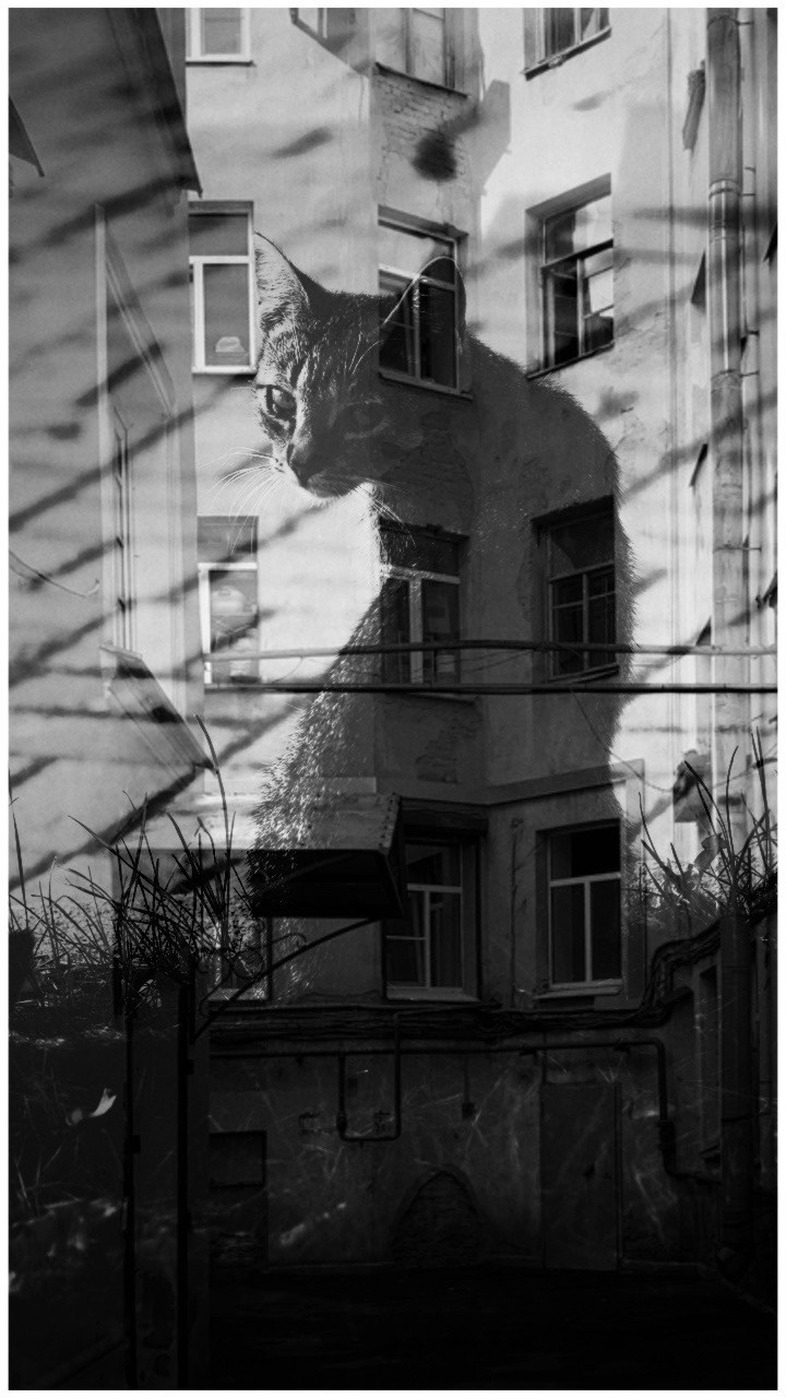 2021. Тащилин Сергей. Фотографии. Жизнь. Хобби