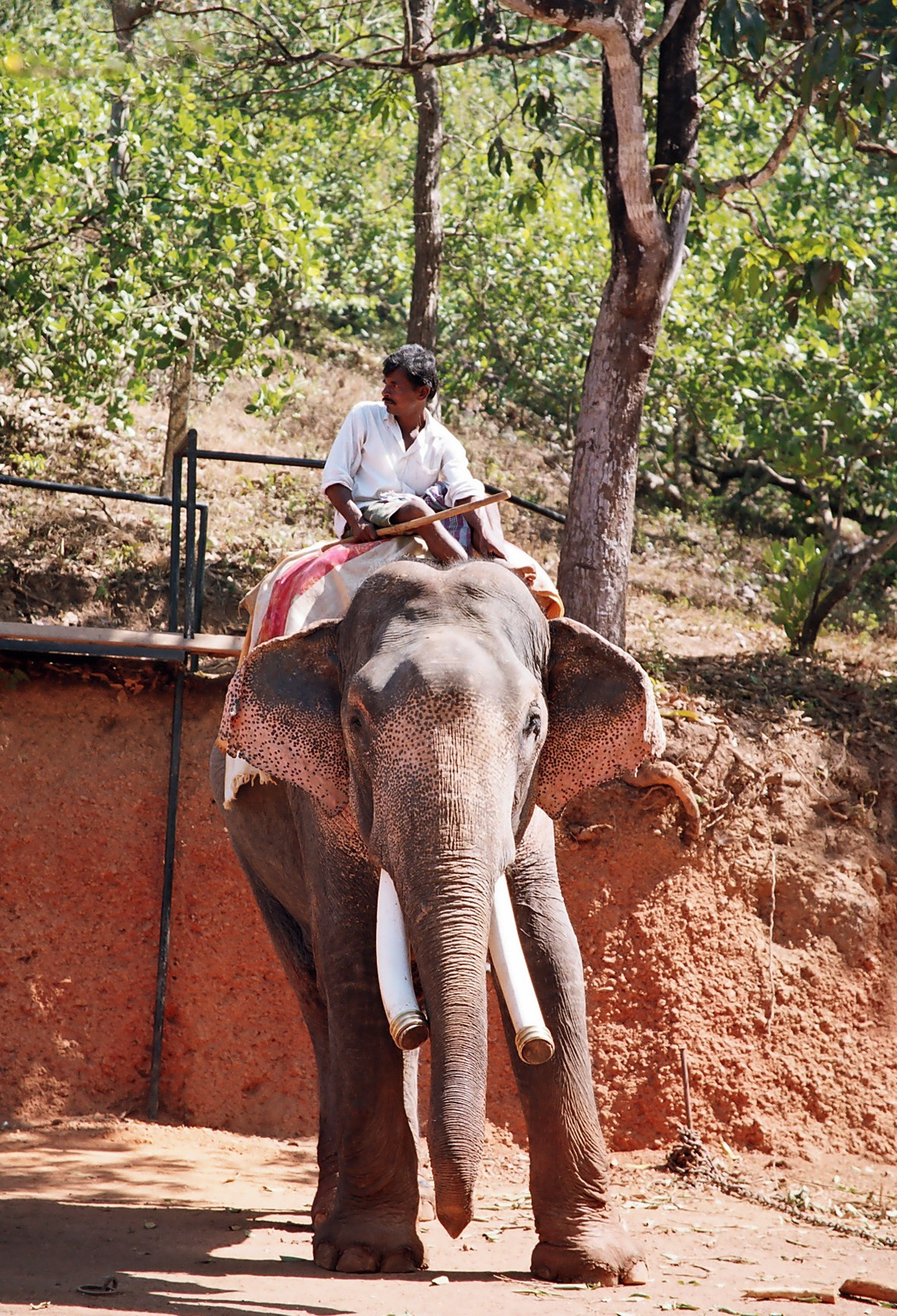 ГОА_2, 2005. Семейный фотограф в Новороссийске Игорь Белослюдцев