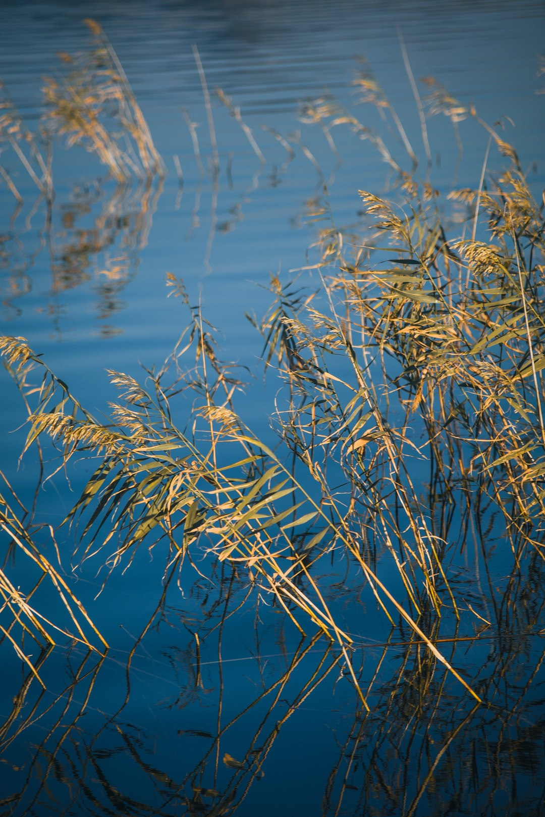 Landscape Photography and Fine Art Prints