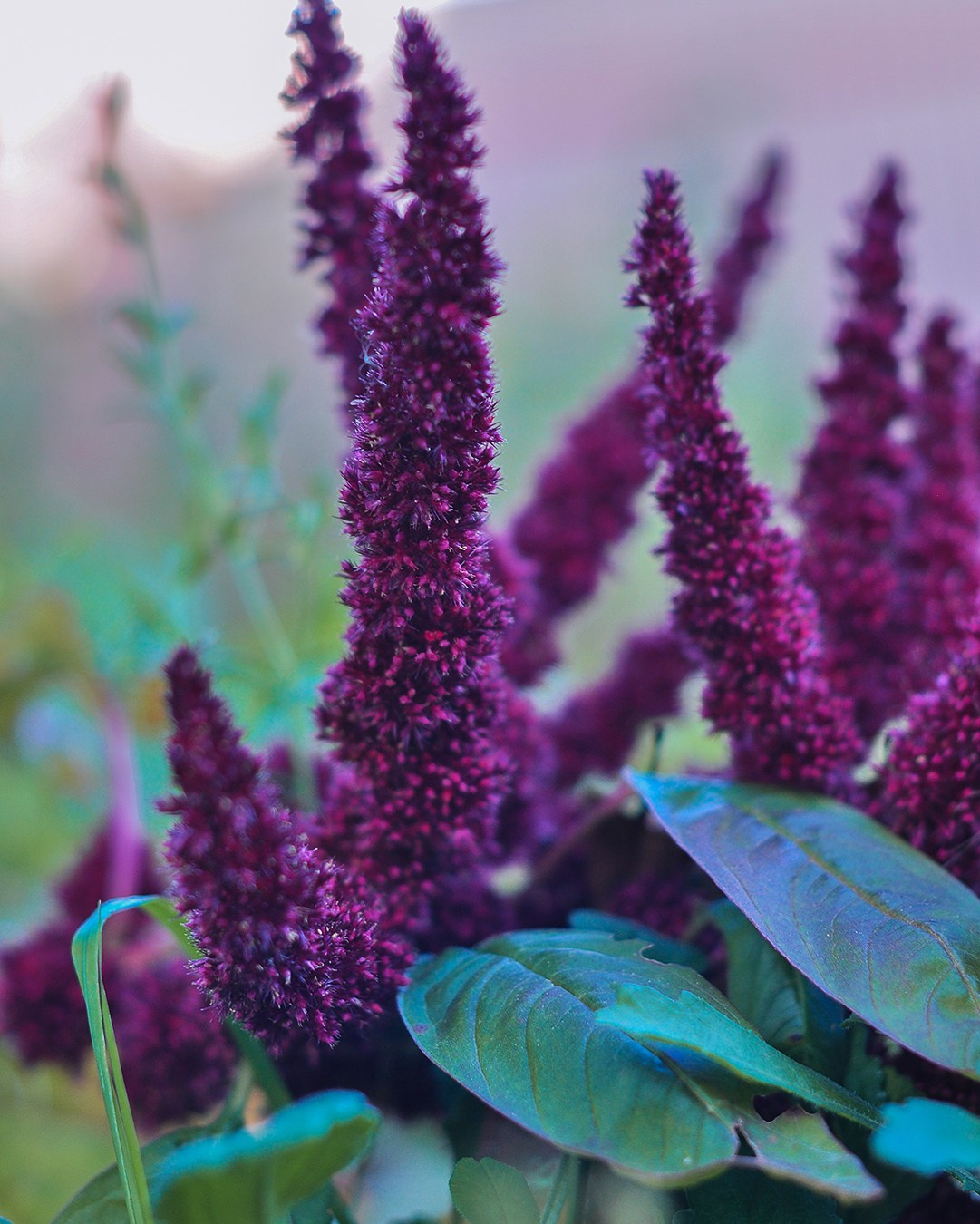 Landscape фото. Фотограф и художник Kerry Moore