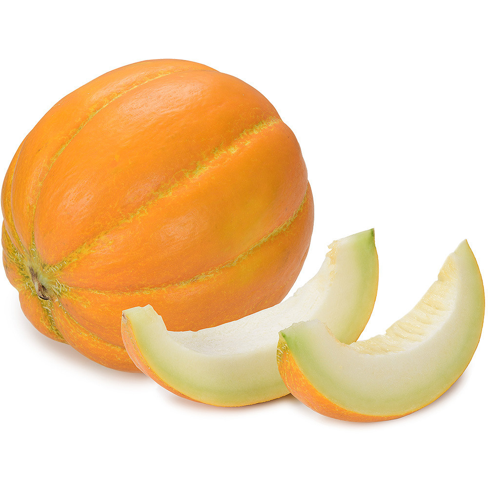 Дыня лежит на белом фоне, рядом ломтик дыни.